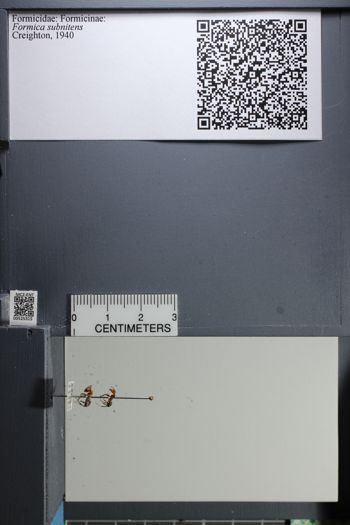 Media type: image;   Entomology 525315